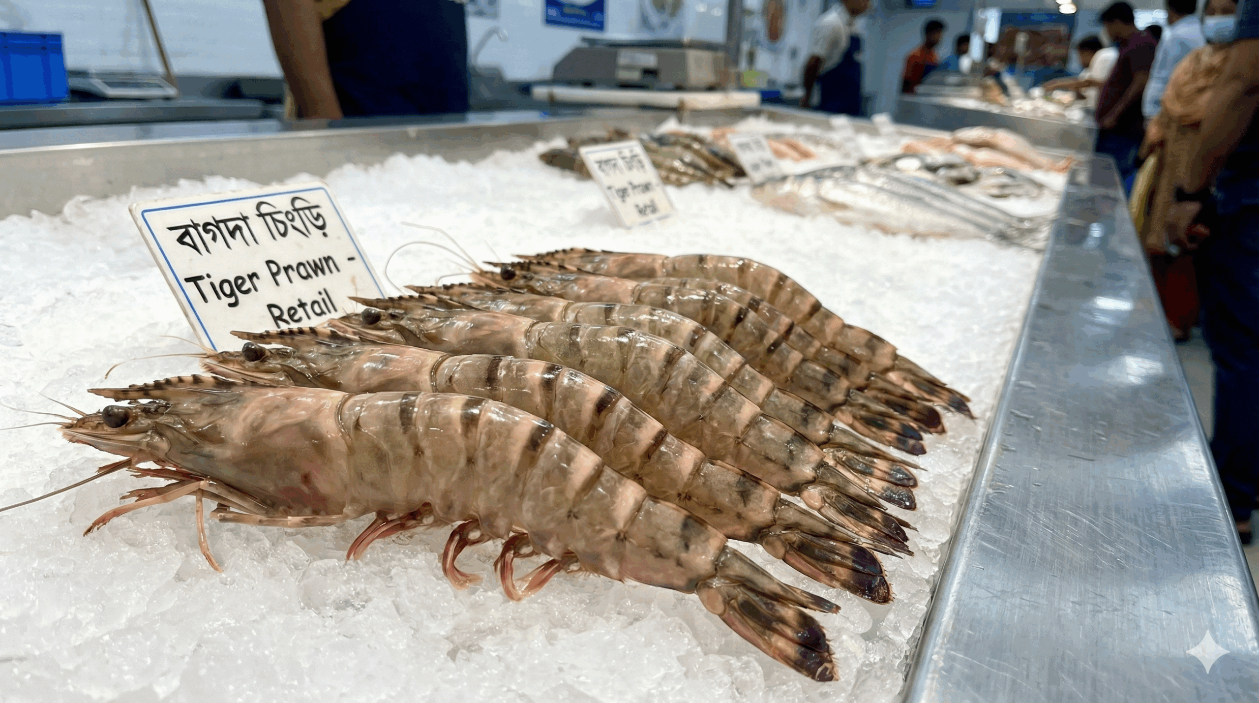 Tiger Prawn